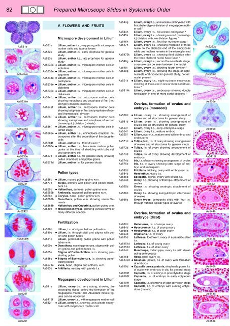 BIOLOGY - microscopia.info