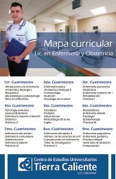 Mapa curricular