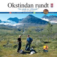 Okstindan rundt