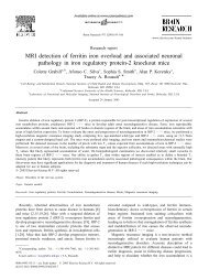 M RI detection of ferritin iron overload and associated neuronal ...