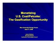 Monetizing US Coal/Petcoke - the Rice Global Engineering ...