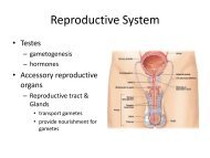 Trifecta - Reproductive System