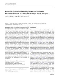 Responses of Helicoverpa armigera to Tomato ... - IngentaConnect