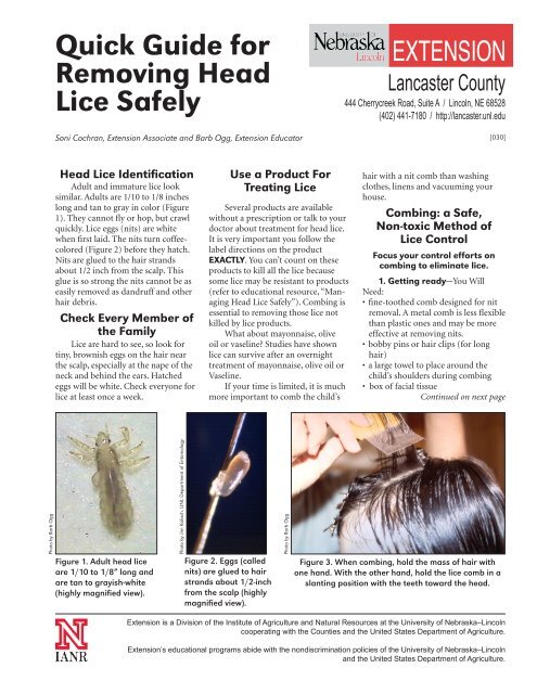 030 05 Quick Guide Head Lice Unl Extension In Lancaster County