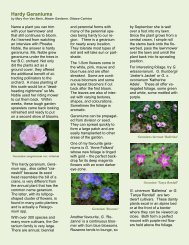 Hardy Geraniums - Master Gardeners of Ontario