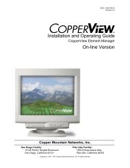CopperView Installation and Operating Guide