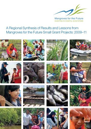 A Regional Synthesis of Results and Lessons from Mangroves for ...