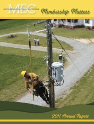 2011 Annual Report - Mecklenburg Electric Cooperative