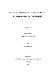 Reversible Ausbildung eines Membrannetzwerks im ... - Membrane