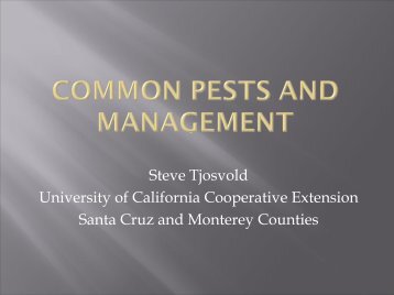Myoporum laetum - Santa Cruz County - University of California ...