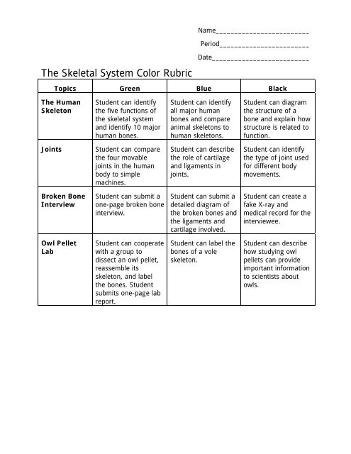 The Skeletal System Color Rubric - WordPress.com