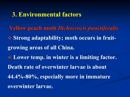 FRUIT BORERS