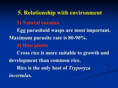 STEM BORERS