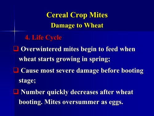 Cereal crop mites