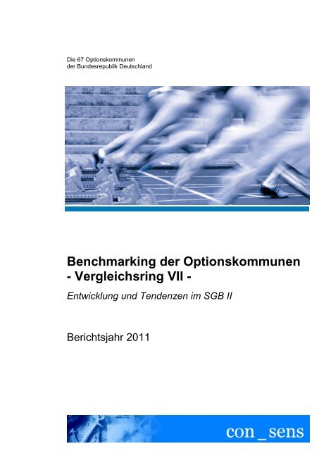 VR 7 Bericht 2011 - Benchmarking der Optionskommunen