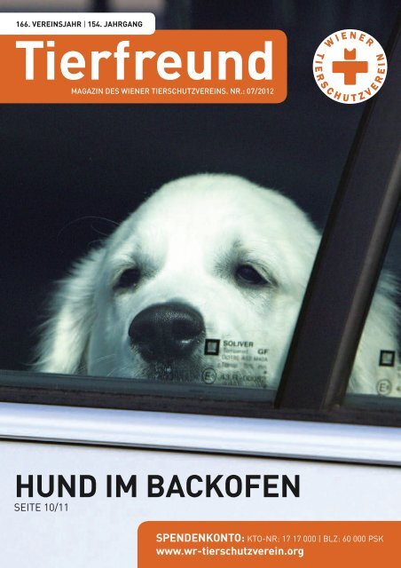 hund im Backofen - Wiener Tierschutzverein