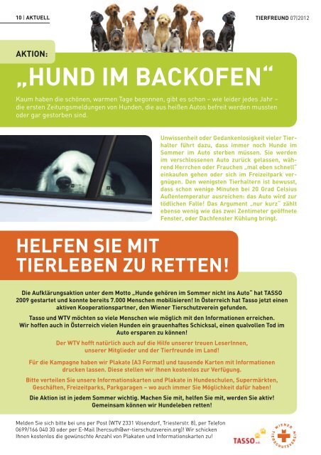 hund im Backofen - Wiener Tierschutzverein