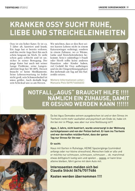 hund im Backofen - Wiener Tierschutzverein