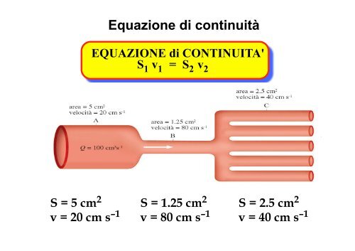 V - Dipartimento di Fisica