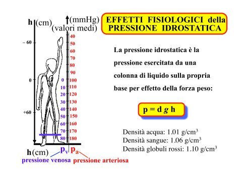 V - Dipartimento di Fisica