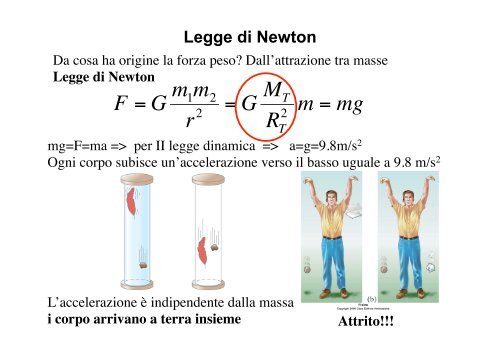 V - Dipartimento di Fisica