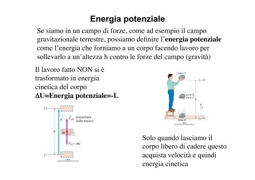 V - Dipartimento di Fisica