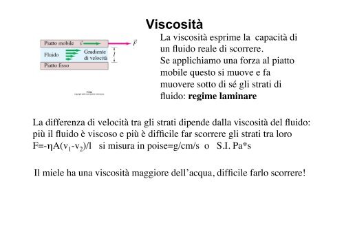 V - Dipartimento di Fisica