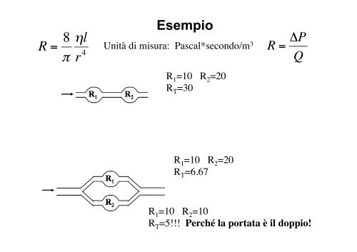 V - Dipartimento di Fisica