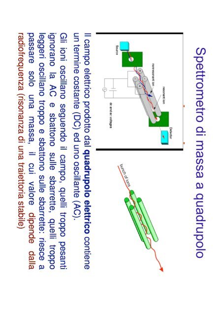 Linee di forza del campo E : alcuni esempi