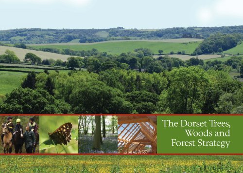 Woodland Strategy 11.34 Mb - the Dorset AONB