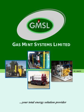 Corporate Profile/Brochure - Gas Mint Systems Limited