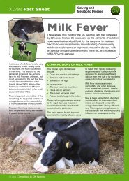 Milk Fever (PDF) - Minster Vets