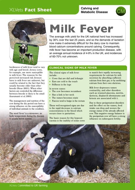 Milk Fever (PDF) - Minster Vets