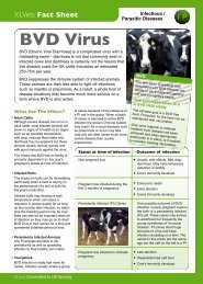 BVD Virus - Embryonics Ltd