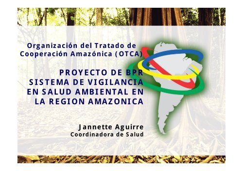proyecto de bpr sistema de vigilancia en salud ambiental en la ...