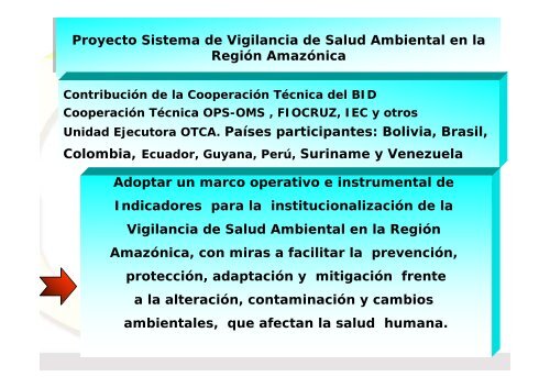 proyecto de bpr sistema de vigilancia en salud ambiental en la ...