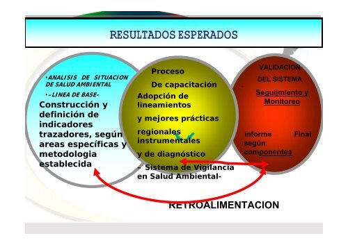 proyecto de bpr sistema de vigilancia en salud ambiental en la ...