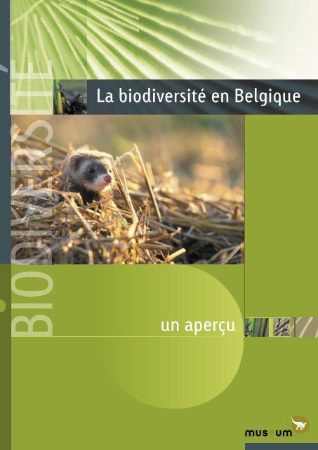 biodiversitÃ© en belgique
