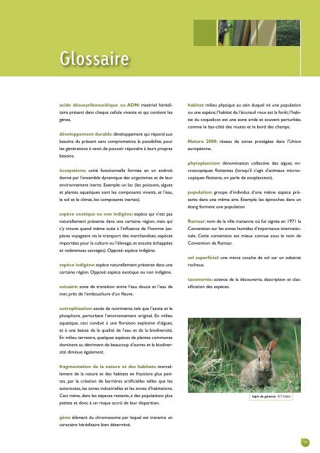 biodiversitÃ© en belgique