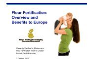 Flour Fortification: Overview and Benefits to Europe