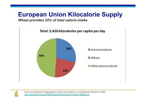 Flour Fortification: Overview and Benefits to Europe