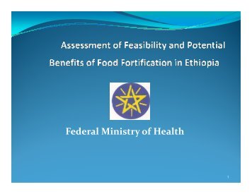 Ethiopia - Flour Fortification Initiative