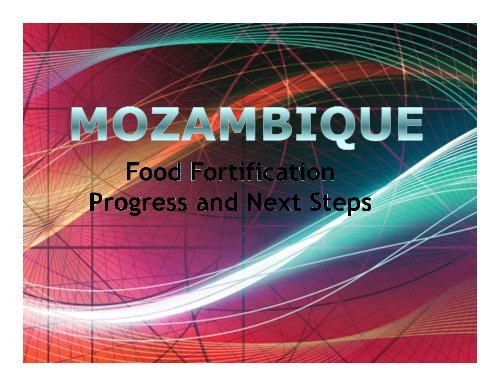Mozambique - Flour Fortification Initiative