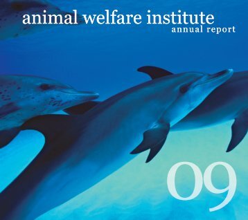 animal welfare institute animal welfare institute