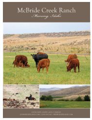 McBride Creek Ranch - Knipe Land Company