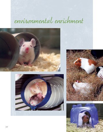 environmental enrichment - Animal Welfare Institute