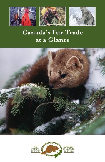 Canada's Fur Trade at a Glance - Fur Institute of Canada