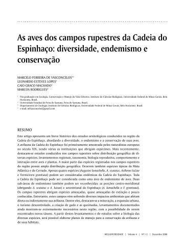 As aves dos campos rupestres da Cadeia do EspinhaÃ§o ...