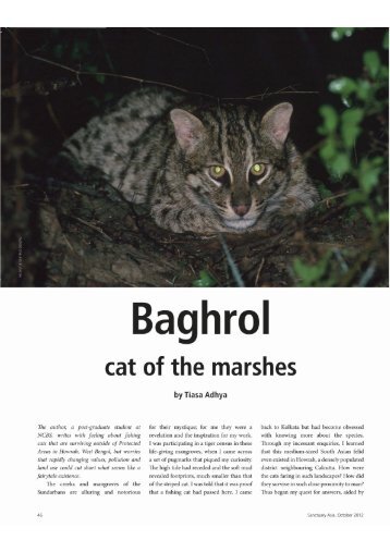 Baghrol - wild-cat.org