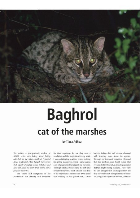 Baghrol - wild-cat.org